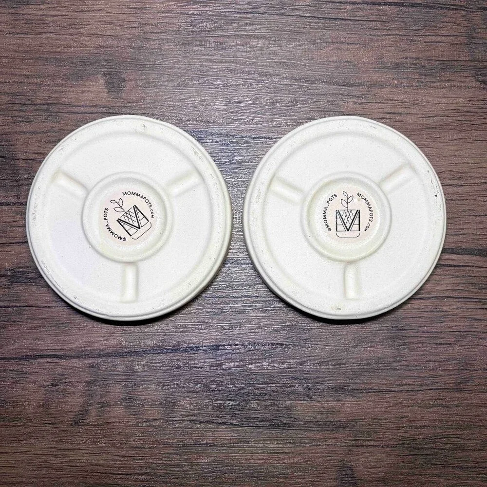 Set of 2 - Momma Planter Pots Porcelain Handmade 4.5 inch